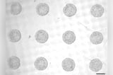 Stem cell model of human embryo produces yolk sac without hypoblasts