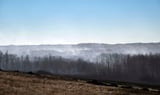 Four Canadian soldiers killed after grass fire spread 'a kilometre in 36 seconds'