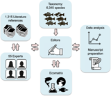 An ecological trait matrix of Neotropical freshwater fishes
