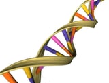 CRISPR's efficiency triples in lab tests with DNA-wrapped nanoparticles
