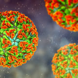 Study reveals human impact on global patterns of emerging infectious diseases