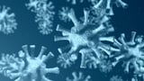 Oh Cool, AI Is Inventing New Biological Viruses Now