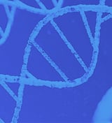 MIT Professor Li-Huei Tsai to Step Down as Picower Institute Director - Cambridge Today