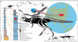 A domed pachycephalosaur from the early Cretaceous of Mongolia
