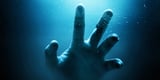 A Creature of the Sea Found the Secret to Immortality—and Humans Might Know How to Steal It