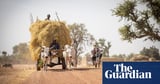 Lethal heatwave in Sahel worsened by fossil fuel burning, study finds