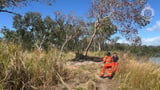 Human remains found within euthanised crocodile