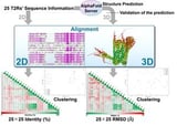 Better understanding of bitter taste receptors: An AlphaFold3-based structure study
