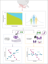 Within-family effect of ancestry on complex traits in a Mexican population