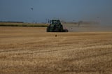 Heat waves fuel drought that is hitting crops across Europe | AP News