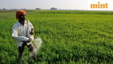 Fertilizer management gets a digital overhaul for end-to-end tracking, subsidy targeting
