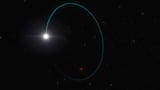 A wobble reveals the most massive stellar black hole in our galaxy