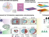 Pan-cancer spatial atlas of tertiary lymphoid structures
