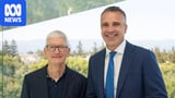 Why is South Australia holding a royal commission into AI and why is it necessary?