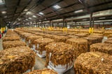 EU Is Failing To Stem Illegal Tobacco Trade And Rising Health Risks, Auditors Warn - Health Policy Watch