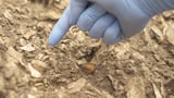 Cave discovery may explain why Neanderthals disappeared, scientists say | CNN