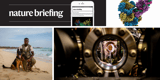 Daily briefing: The world’s first human bladder transplant