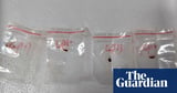 Potential ‘agroterrorism weapon’ fungus smuggled into US by Chinese scientists, FBI alleges