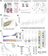 Pan-cancer immune and stromal deconvolution predicts clinical outcomes and mutation profiles