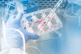 Argenx and Unnatural Products Sign $1.5 Billion Deal to Develop Macrocyclic Peptide Therapies - Life Sciences Voice