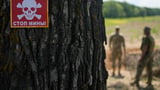 Finland votes to leave land mine treaty as Nordic country boosts defenses