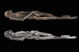 Ancient Siberian ice mummy is covered in 'really special' tattoos
