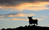 Why Spanish tech is sizzling: ‘The mentality has completely shifted in the last six months’ | Sifted