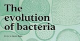 The evolution of bacteria