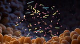 How Gut Microbiota Impact Endothelial Cell Senescence