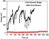 Enhancing Azo Dye Mineralization and Bioelectricity Generation through Biocathode-Microbial Fuel Cell Integration with Aerobic Bioreactor