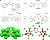 Scientists finally confirm vitamin B1 hypothesis from 1958