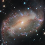 Hubble spies spiral galaxy NGC 2566
