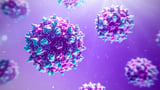 Hemophilia B Gene Therapy Sustains Efficacy Over a Decade Later
