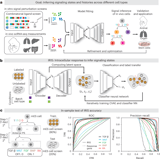Reconstructing signaling histories of single cells via perturbation screens and transfer learning