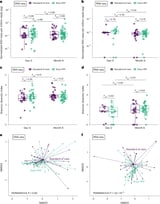 How doxycycline for STI prevention affects the gut microbiome