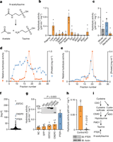 PTER is a N-acetyltaurine hydrolase that regulates feeding and obesity