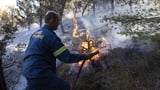 Green activists seek to force revision of EU’s climate targets