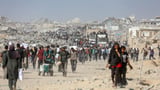Google Maps Updates Reveal Widespread Gaza Damage