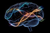 Genetic Variants Linked to Brain Volume Shed Light on ADHD, Parkinson's - Neuroscience News