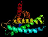 New project aims to predict early protein dysfunction in neurodegenerative diseases