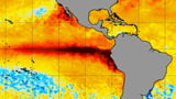 Climate Change Is Supercharging El Niño, 1,000 Years of Coral Data Shows