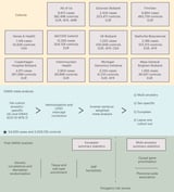 The genetic architecture of fibromyalgia across 2.5 million individuals