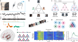 Human hippocampal and entorhinal neurons encode the temporal structure of experience