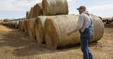 A pipeline company sought to grab land from 'hundreds' of people. Now its project is threatened