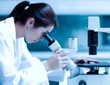 Triple negative breast cancer exploits lymph node niches to block immune defense