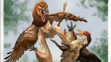 New Velociraptor cousin was a '4-winged' dragon that hunted prey from the trees of ancient China, fossil find…