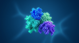 AI reveals new class of cellular ‘off switch’ linked to cancer pathways