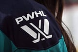 Josh Sciba named as inaugural head coach for PWHL’s expansion team in Detroit