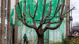 New Banksy tree mural artwork painted on side of home appears to be vandalised with white paint thrown on...