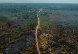 Amazon deforestation rises for the first time in 15 months